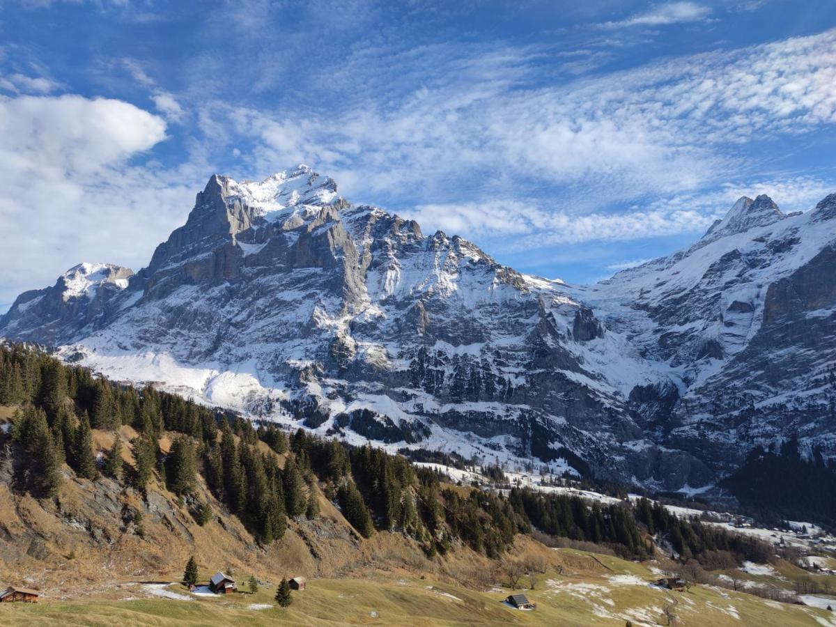 Chalet Pfyffer - Mountain View Гриндельвальд Экстерьер фото