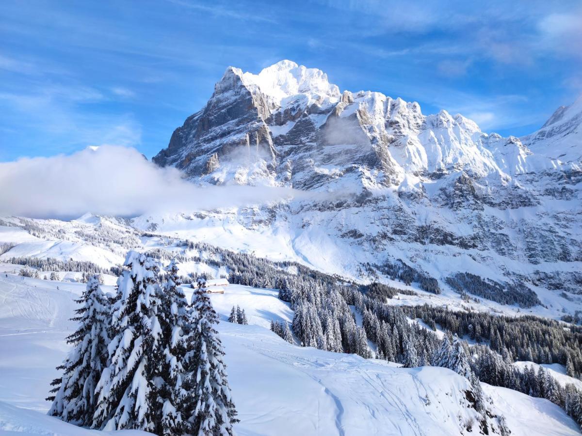 Chalet Pfyffer - Mountain View Гриндельвальд Экстерьер фото