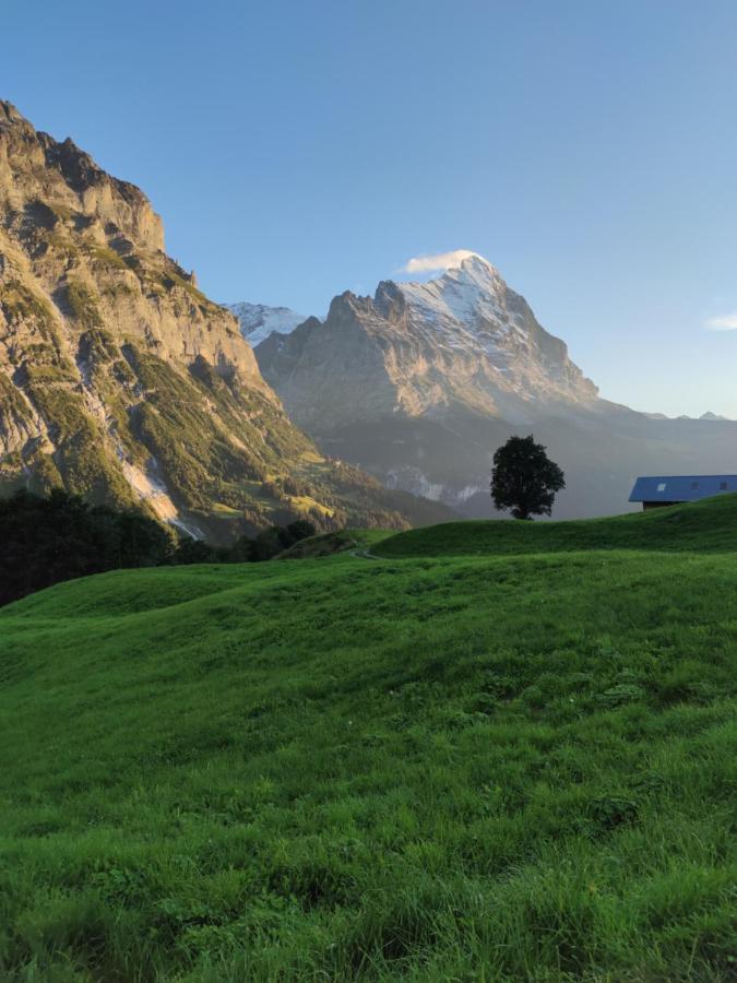 Chalet Pfyffer - Mountain View Гриндельвальд Экстерьер фото