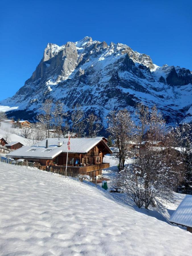 Chalet Pfyffer - Mountain View Гриндельвальд Экстерьер фото