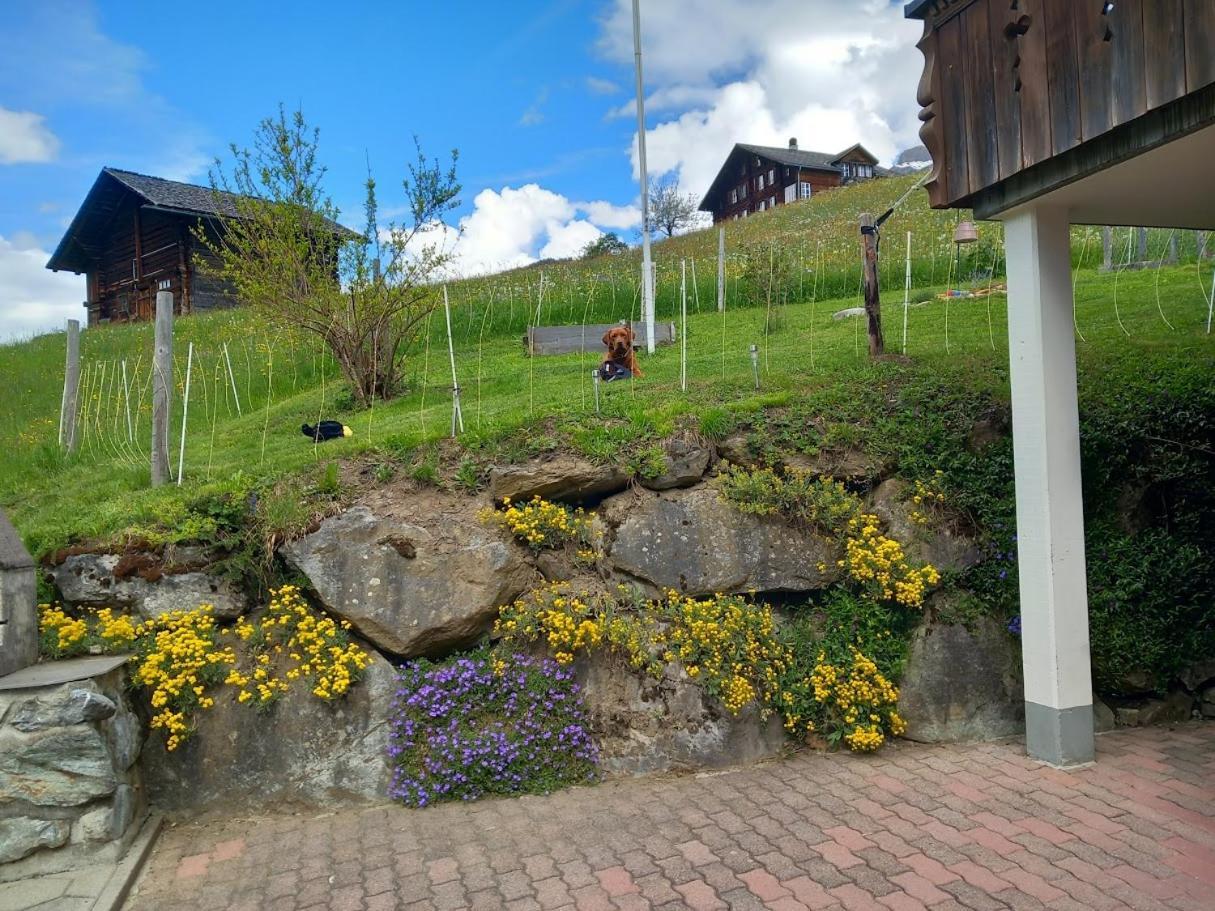 Chalet Pfyffer - Mountain View Гриндельвальд Экстерьер фото